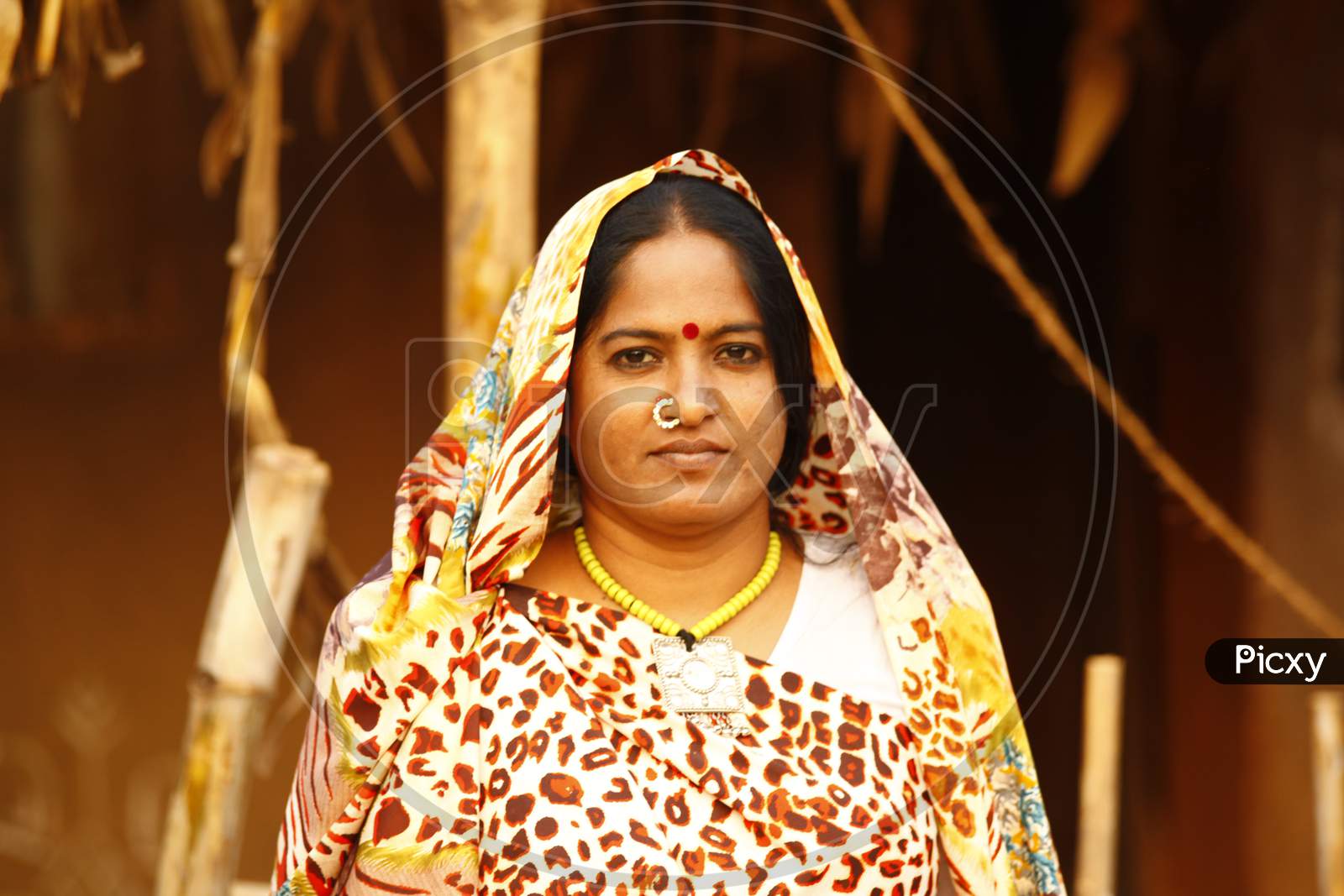 Rajasthani Rural Village Woman in Rural Village Street