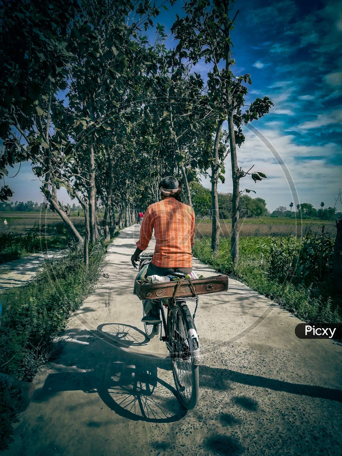 Rural diaries, a man riding bicycle