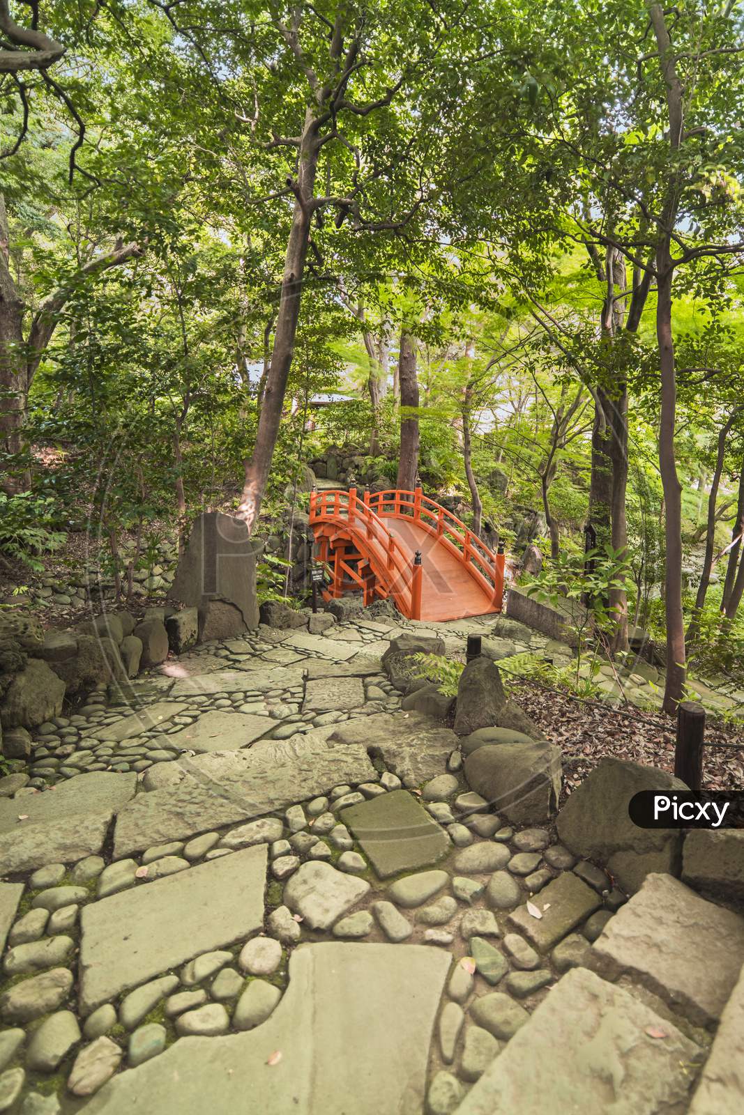 Spiral Staircase Paved With Stones And Pebbles Leading To The Japanese Vermilion Tsuten Bridge Surrounded By Maples And Cherry Trees In The Forest Of Koishikawa Korakuen Park.