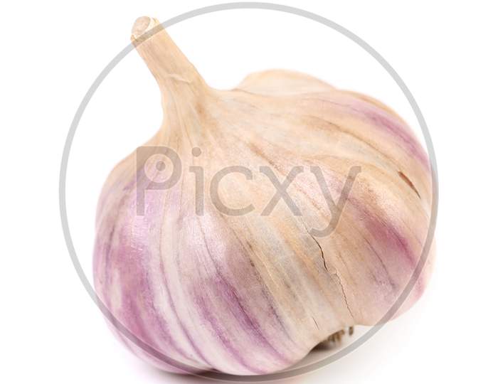 Close Up Of Fresh Garlic.  Isolated On A White Background.