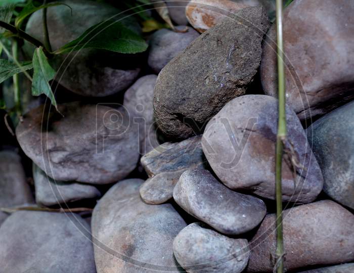 Stones Or Pebbles In an Lawn Garden