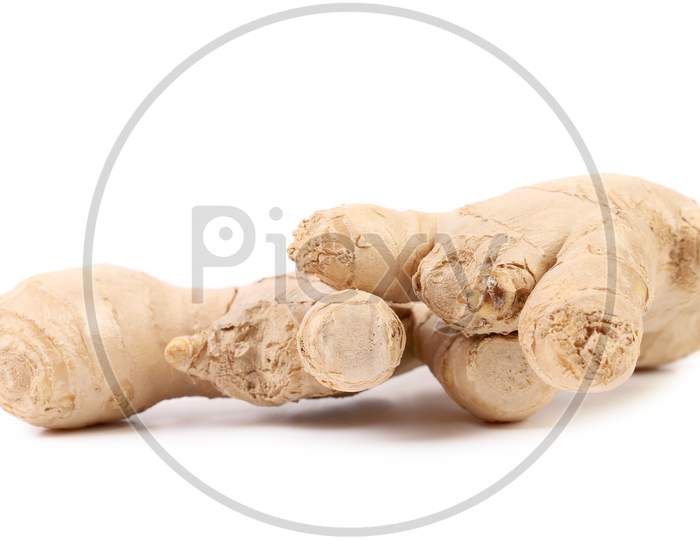 Close Up Of Fresh Ginger Root. Isolated On A White Background.