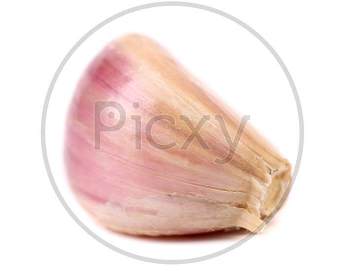 Fresh Garlic Clove. Isolated On A White Background.