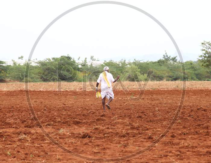 An Elderly Man Or Poor Farmer Walking In Agricultural Fields
