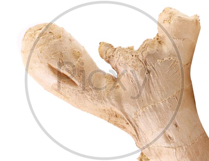 Fresh Ginger Root. Isolated On A White Background.