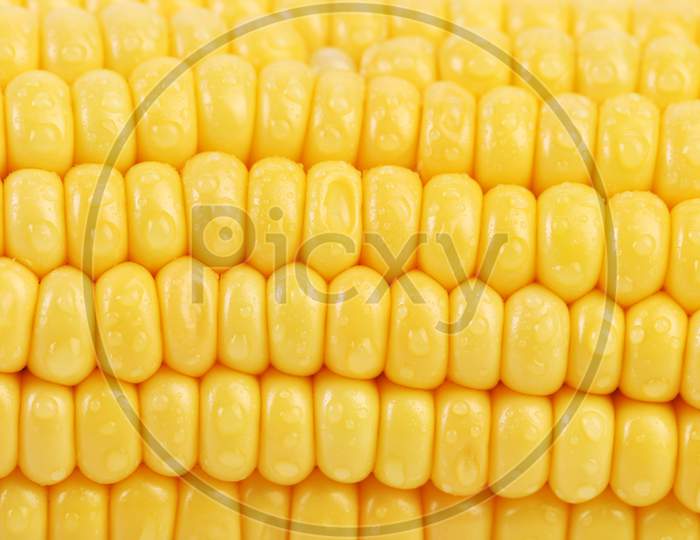 Background Of Corn Grains. Close Up. Whole Background.