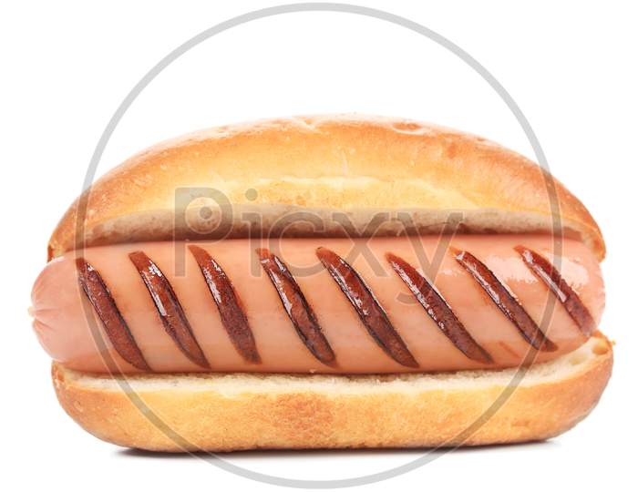 Hotdog With Grilled Sausage Roll. Isolated On A White Background.
