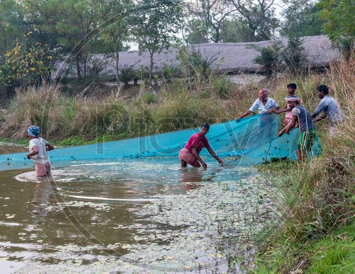 Some poor fisherman in a village in West Bengal, India, is fishing with nets from the pond