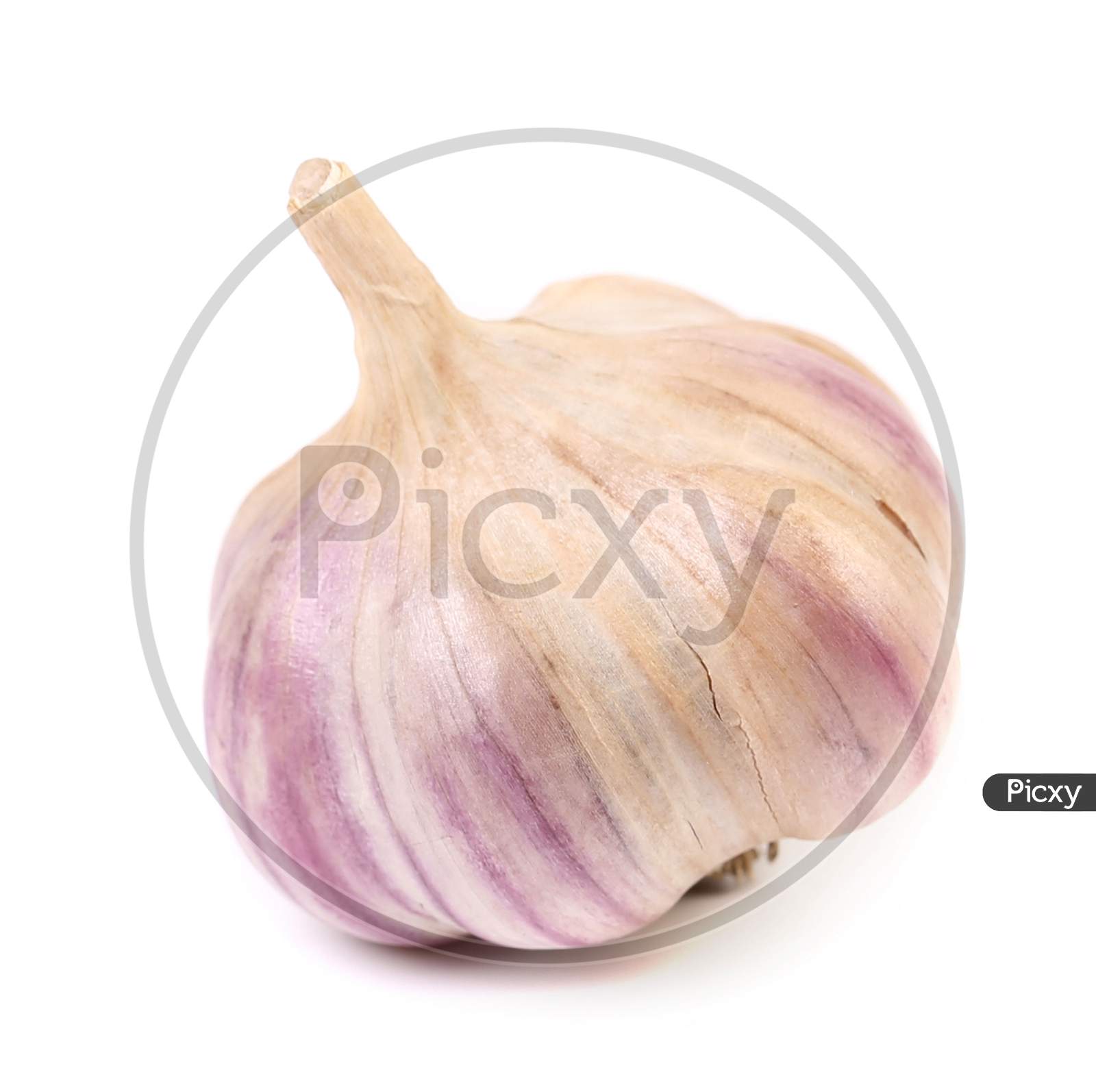 Close Up Of Fresh Garlic.  Isolated On A White Background.