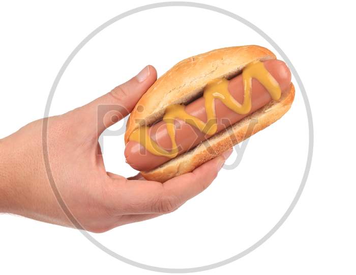 Hand Hold Hotdog With Mustard. Isolated On A White Background.