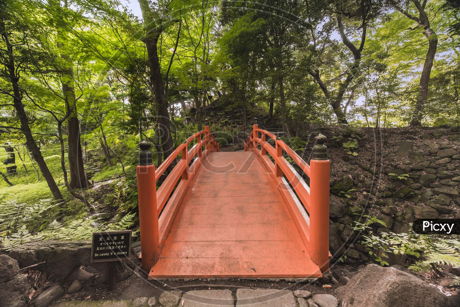 Japanese Vermilion Tsuten Bridge Surrounded By Maples And Cherry Trees In The Forest Of Koishikawa Korakuen Park.