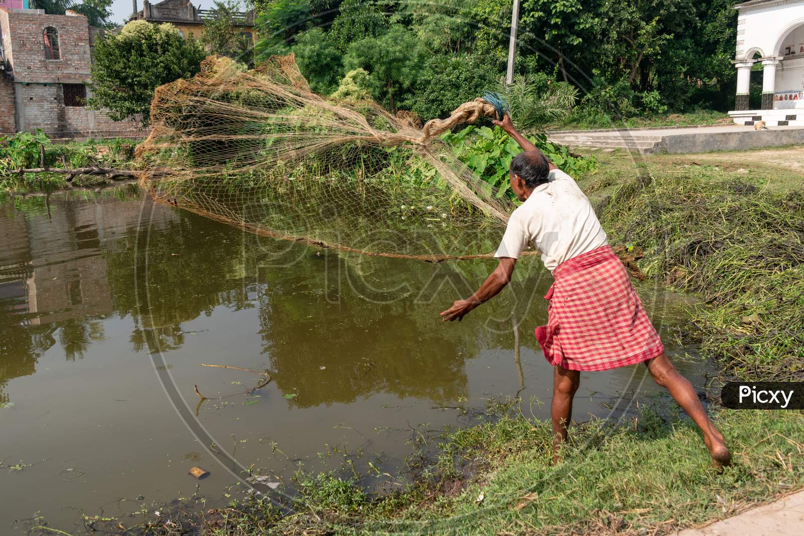 Image of A village fisherman is throwing a net for fishing in a pond -WJ078942-Picxy