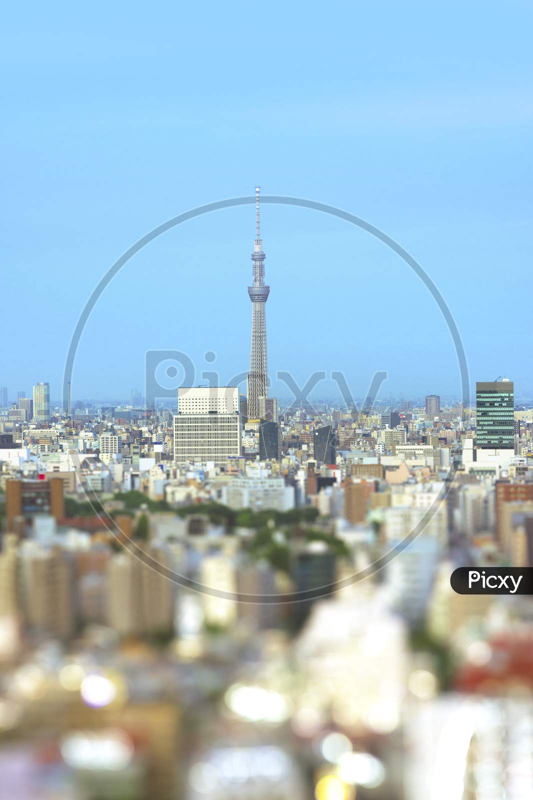 Aerial View In Tilt-Shift Of The City Of Tokyo With The Skytree Tower In The Center And Bokeh Around.
