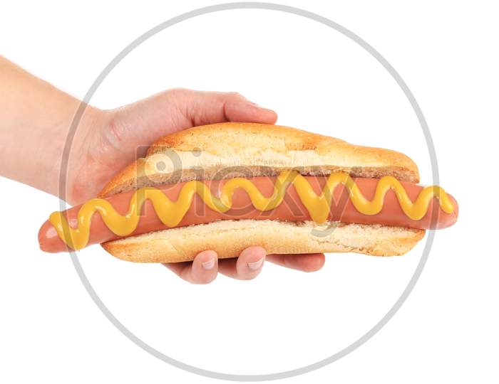 Hotdog With Mustard In Hand. Isolated On A White Background.