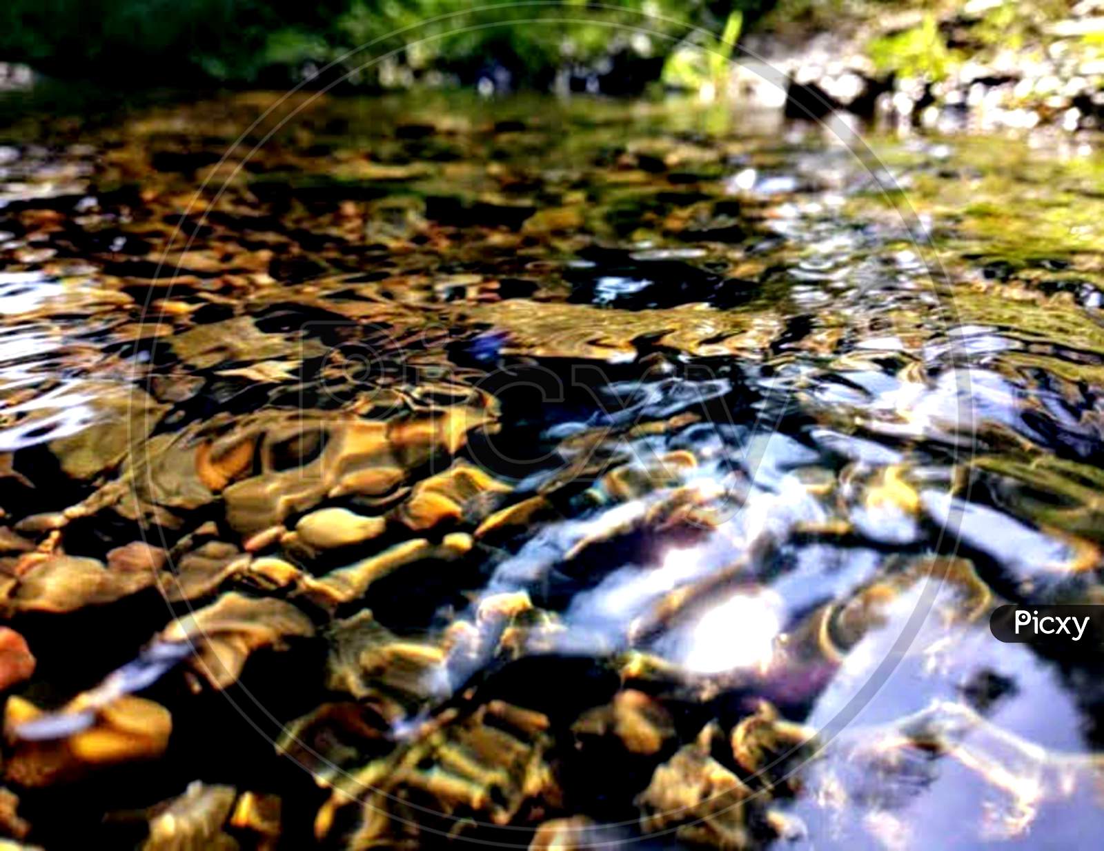 Zoomed image of water pond with pebbles at bottom