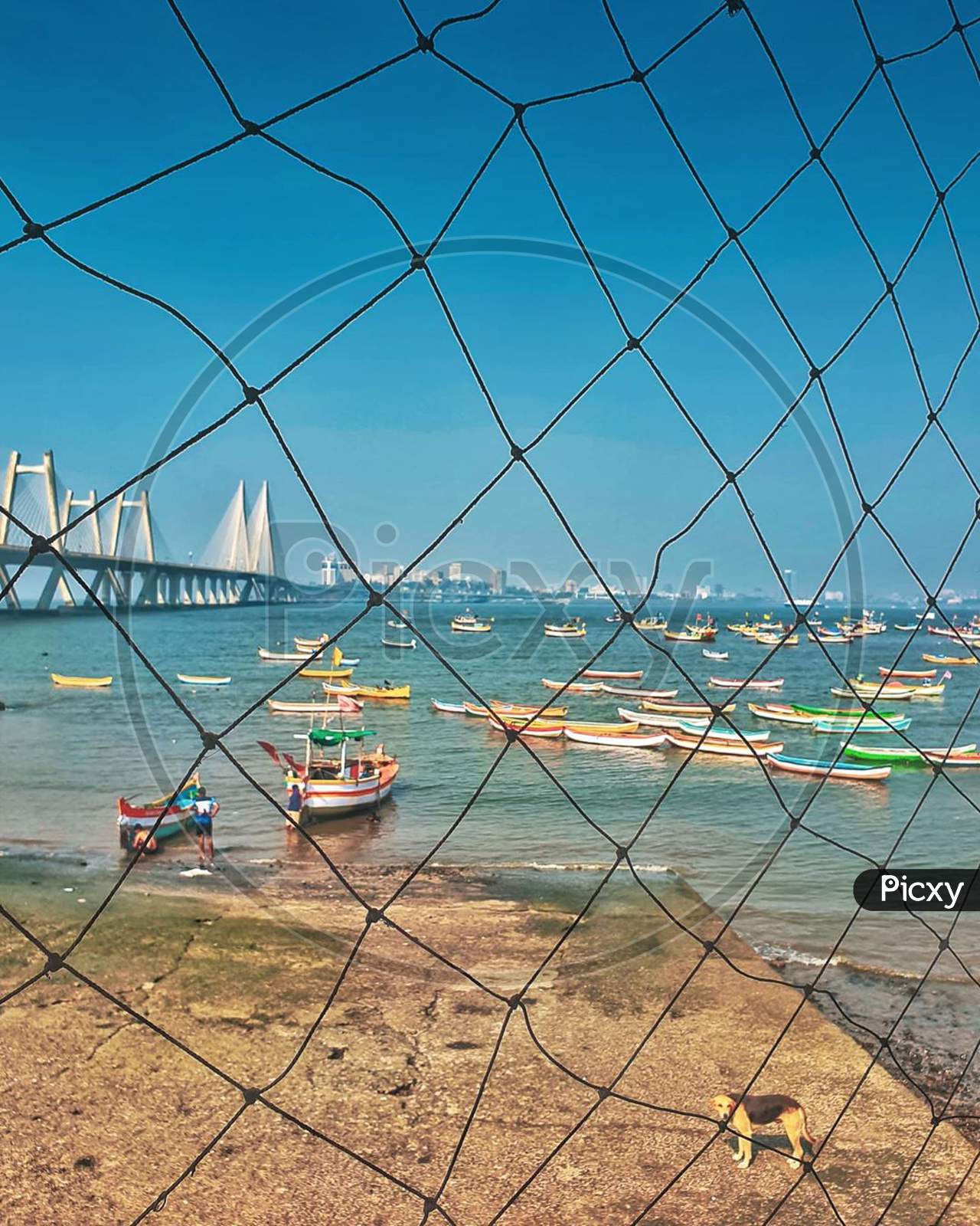 Image of Fishing boats and bridge behind the fishing net blue sky