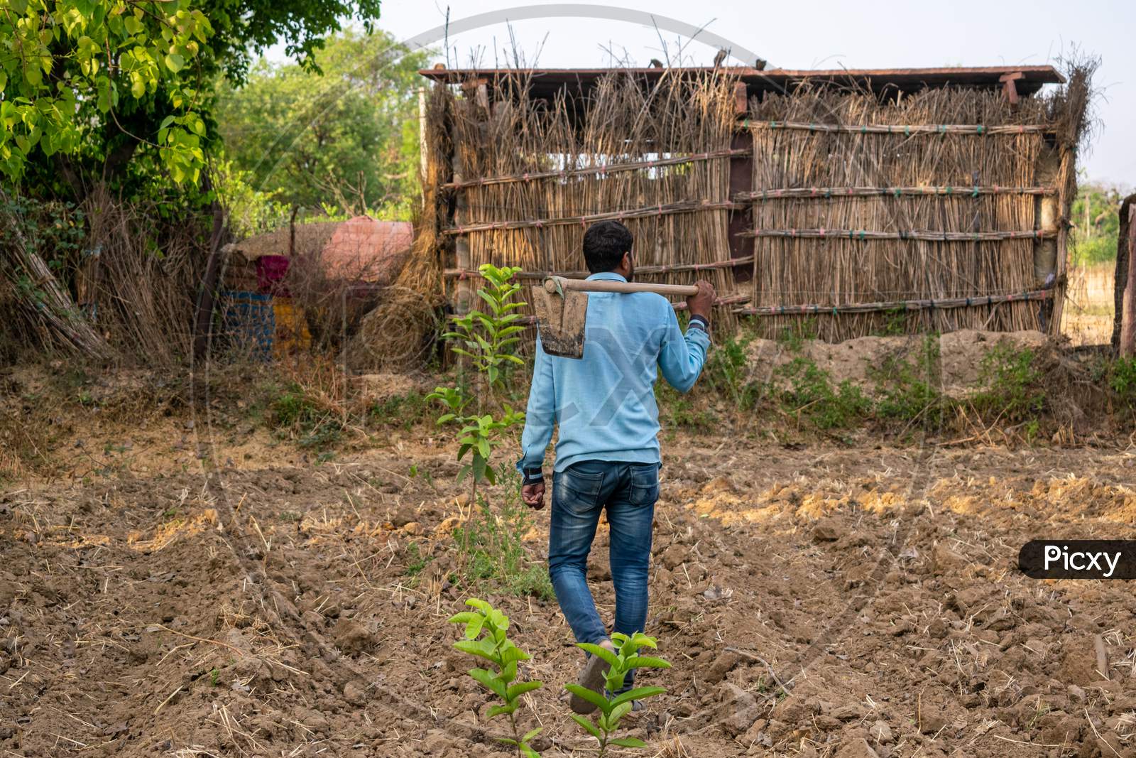 A farmer carries spade on his shoulder as he works at his farm in a village