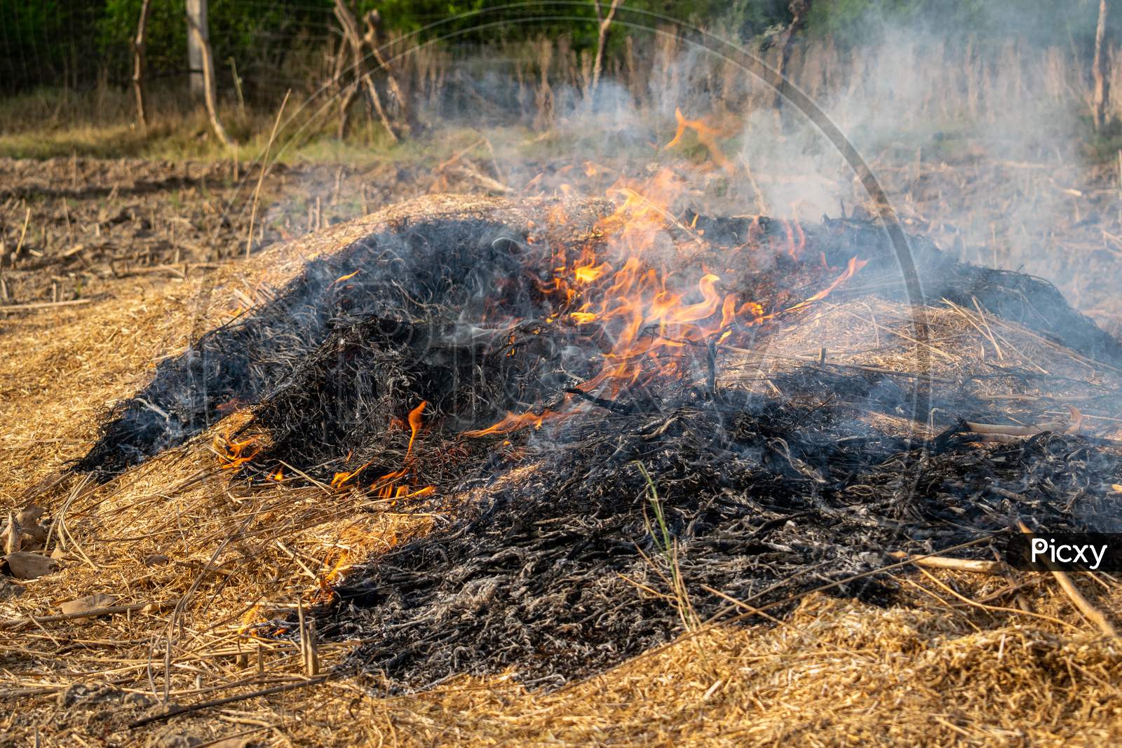 Farm debris being burnt in a village after crop harvesting
