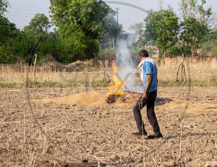 A farmer sets farm debris on fire after crop harvestig