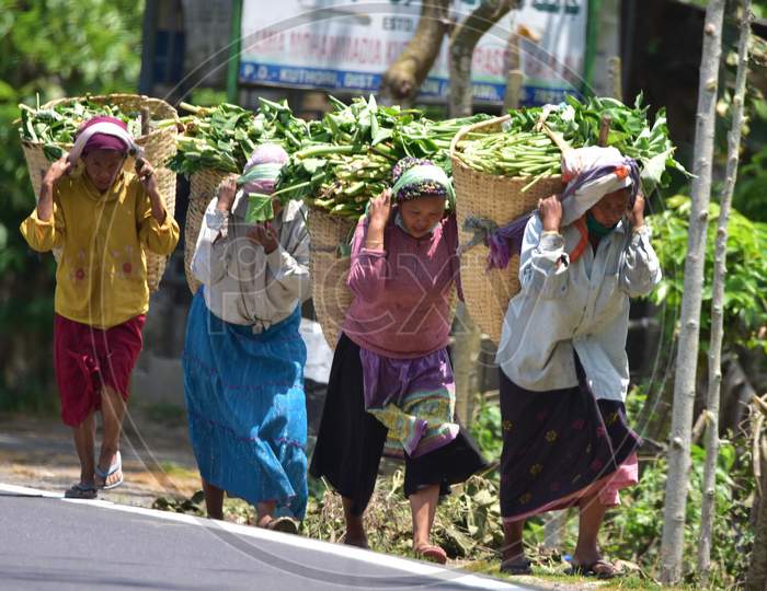 Karbi Tribal Women  Carry Colocasia Leaves During Nationwide Lockdown Amidst Coronavirus or COVID-19  Pandemic  At Kaziranga In Nagaon  April 30,2020.