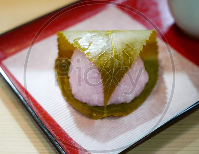 Sakura mochi wrap with sakura leaf pickle, a delicacy sweet treat in Japan during sakura blossom season