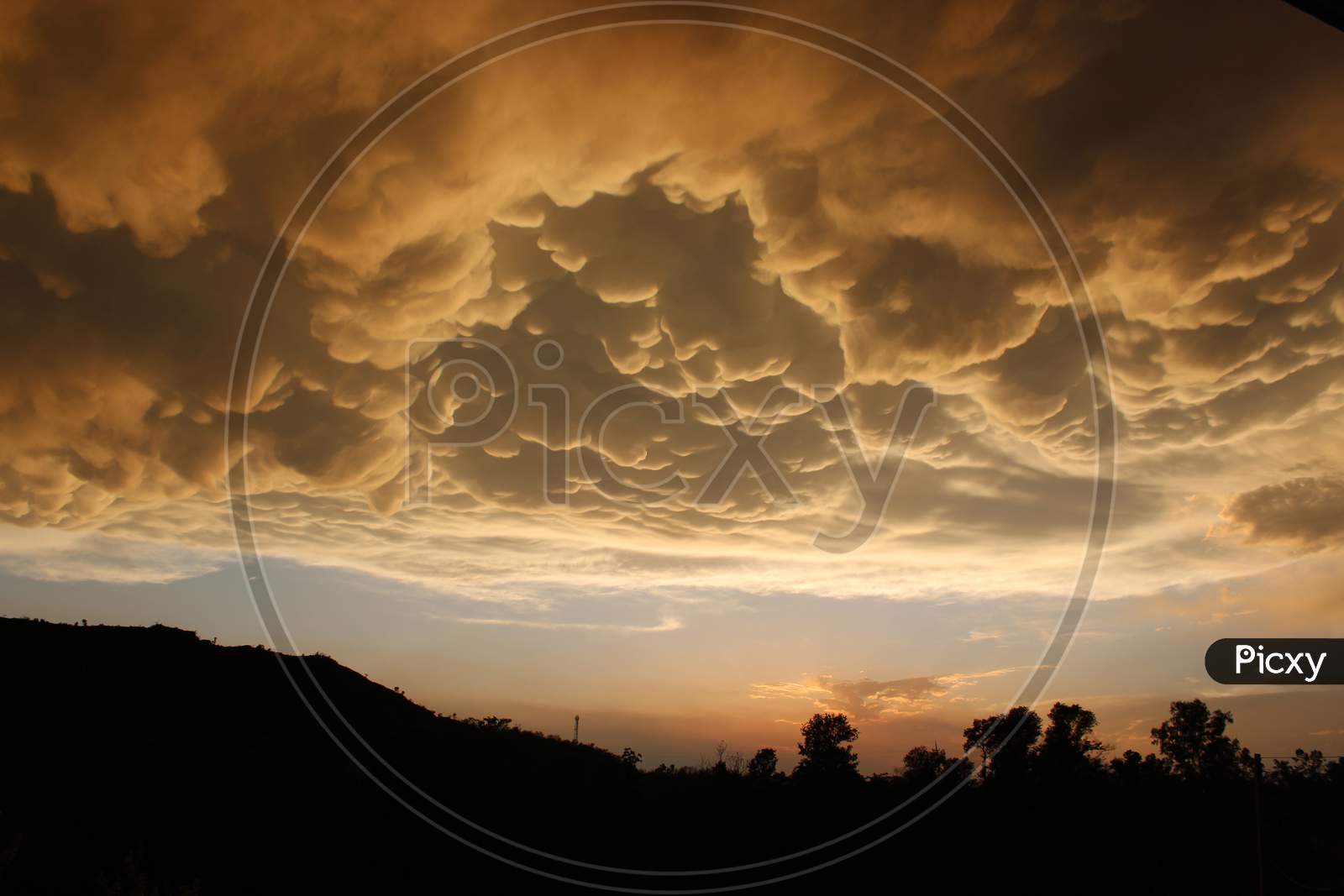Silhouette of Trees Over a Sunset Sky With Dark Clouds in Background