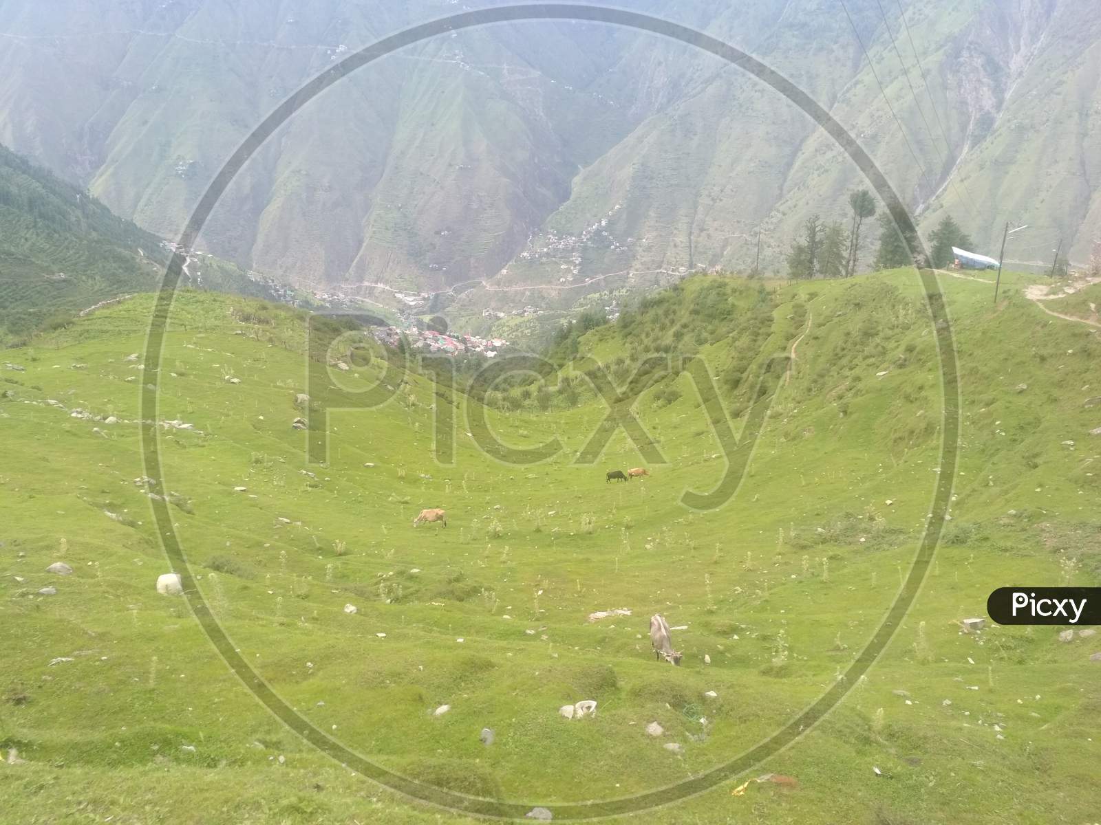 Landscape of Himachal Pradesh With Green Terrain Lands