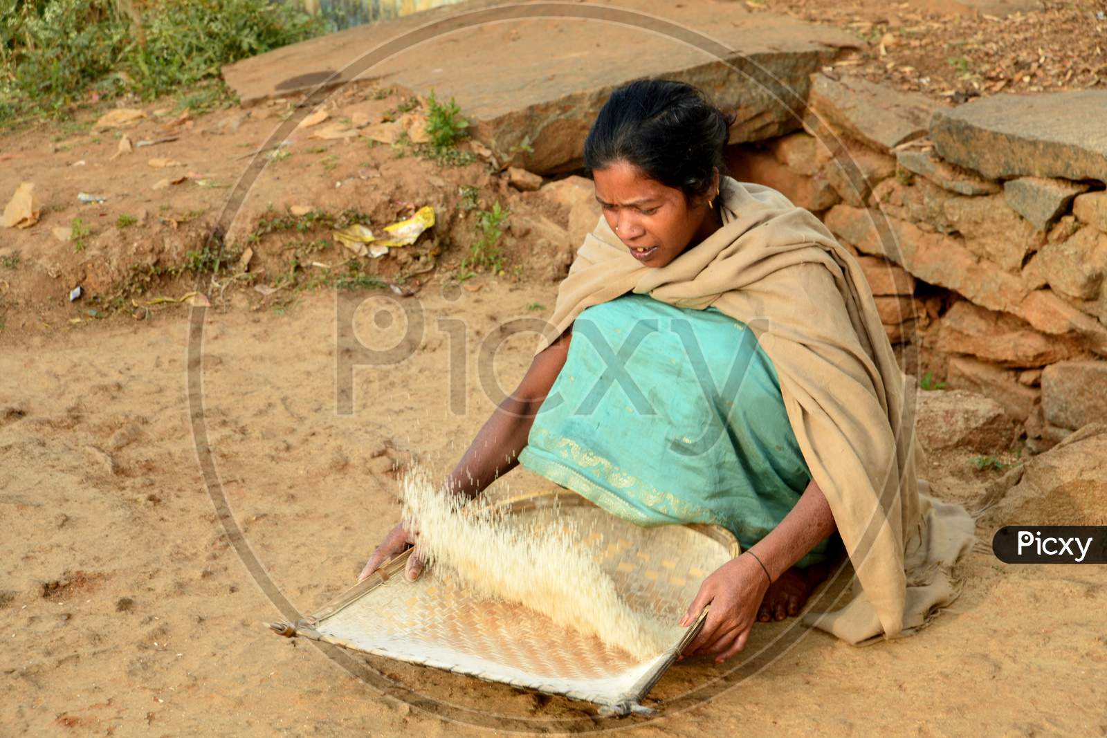 Tribal Village Woman Sieving Rice At a Rural Village
