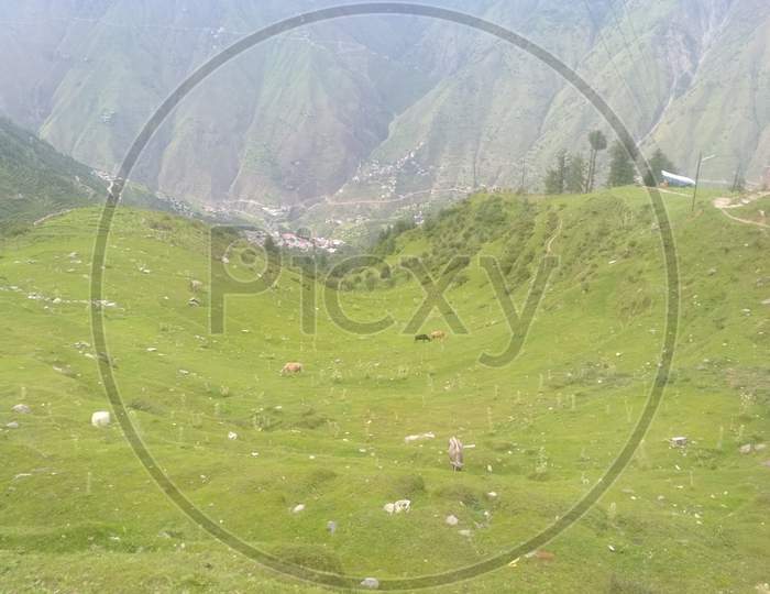 Landscape of Himachal Pradesh With Green Terrain Lands