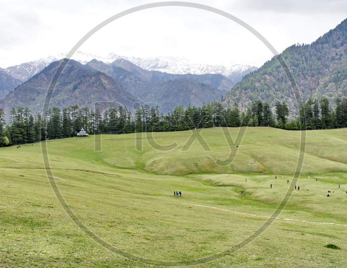 Green Terrain Lands In Himachal Pradesh