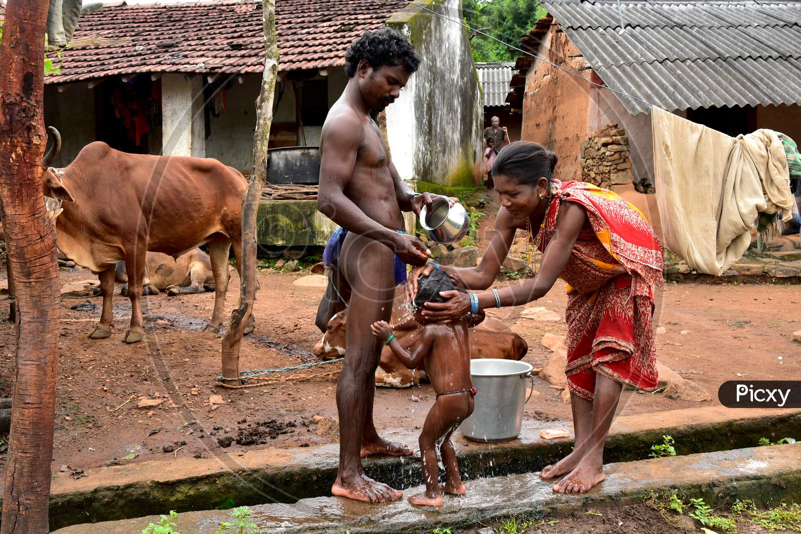 Tribal Poor Family Bathing Openly On Tribal Village Streets