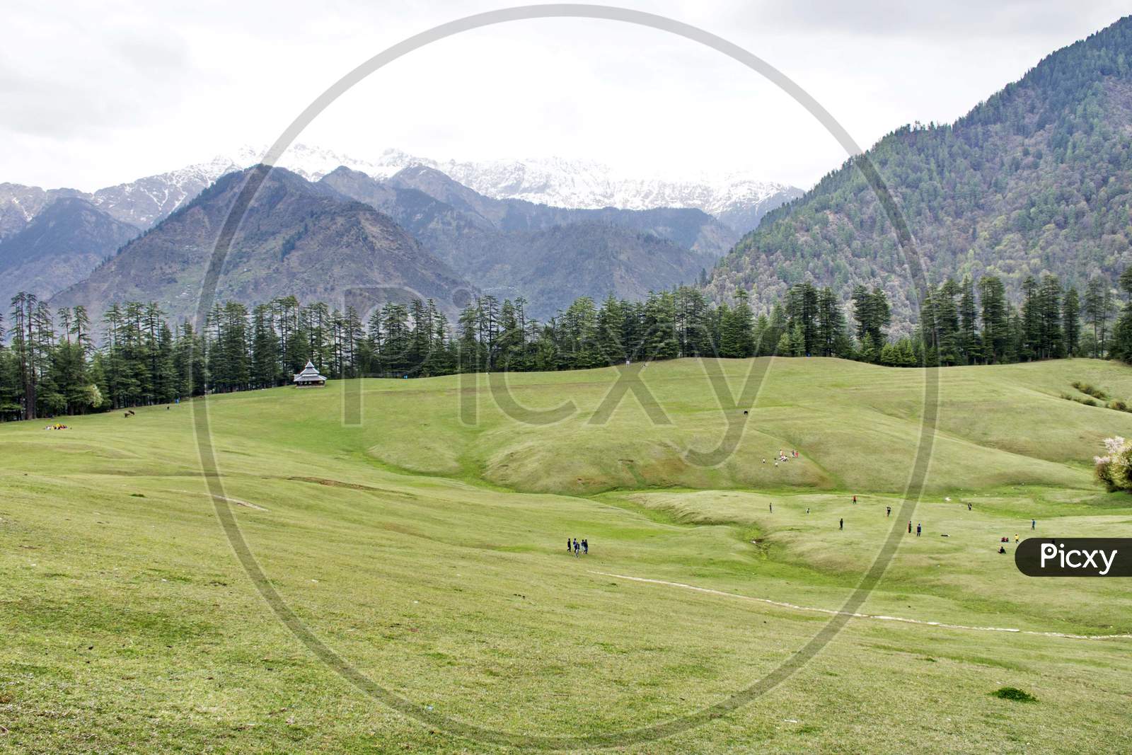 Green Terrain Lands In Himachal Pradesh