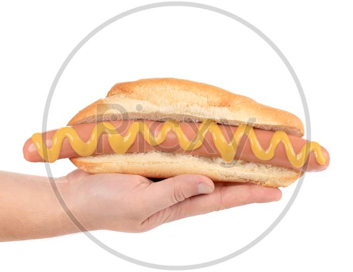 Hand Hold Big Hotdog. Isolated On A White Background.
