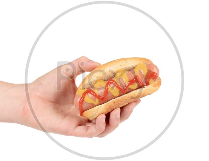 Hand Hold Hotdog Ketchup And Mustard. Isolated On A White Background.