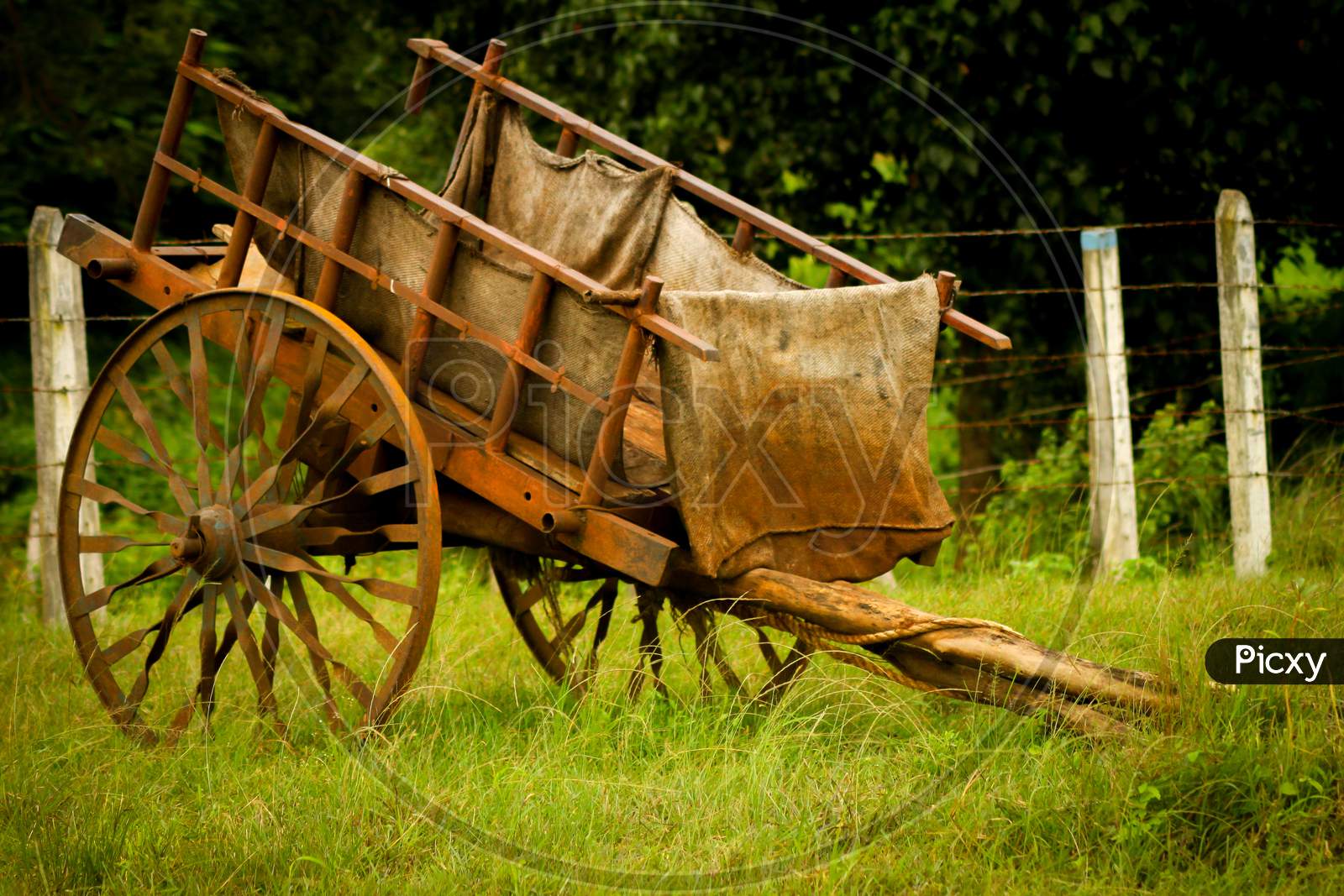 bailgadi - old farm cart with gunny sacks parked in a farm