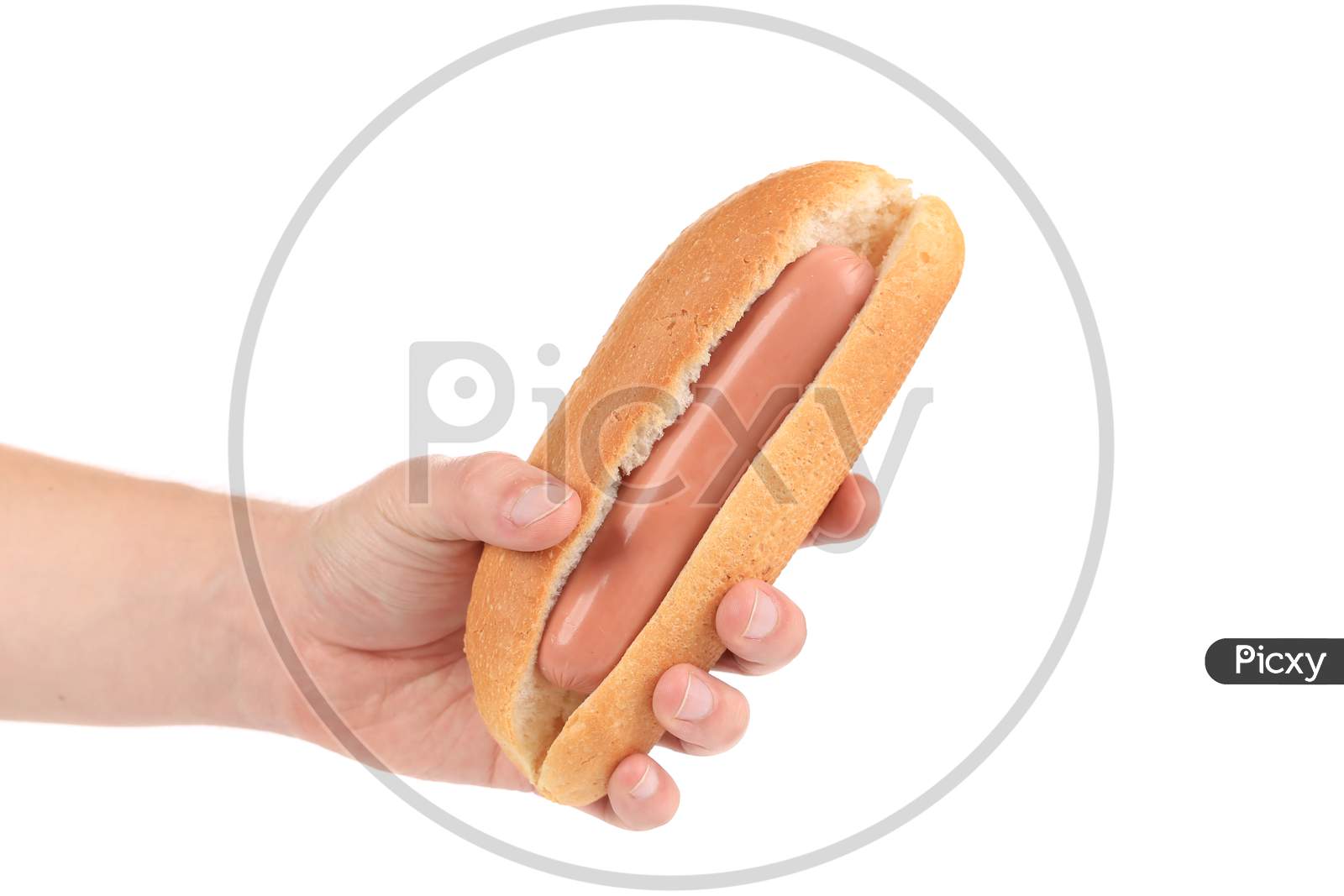 Hand Hold Uncooked Hotdog. Isolated On A White Background.