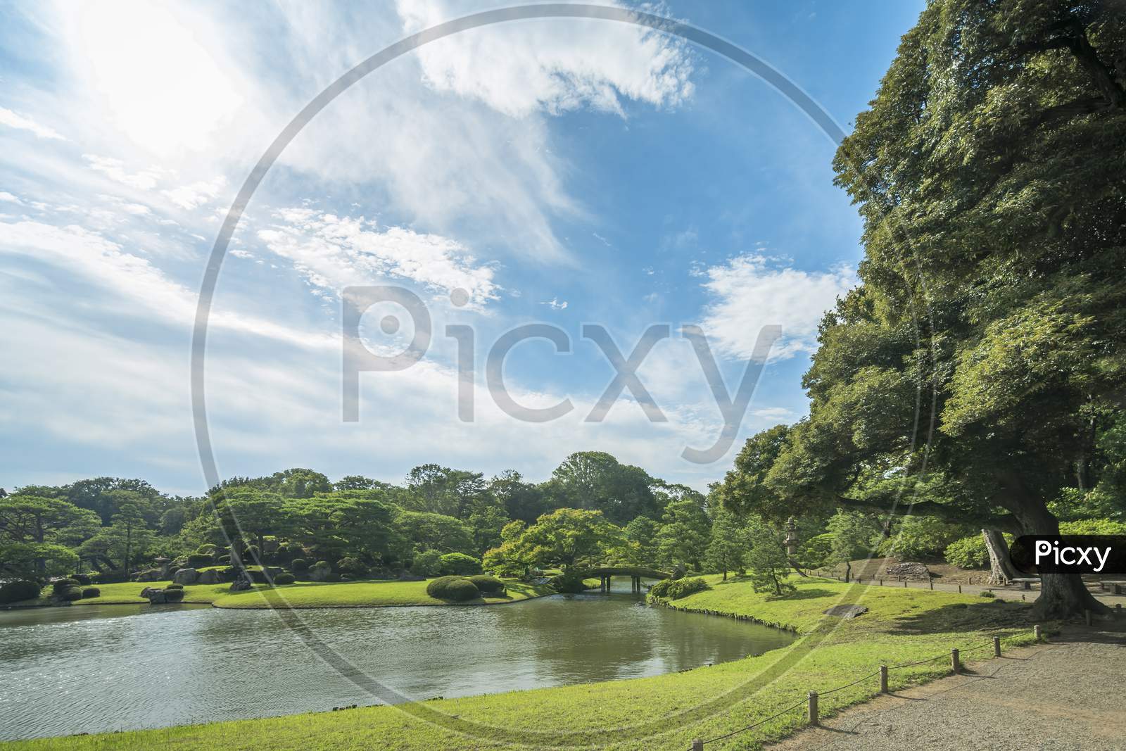 Big Pine Trees Around A Pond With A Wooden Bridge On A Islet Under The Blue Sky Full Of Clouds In The Garden Of Rikugien In Tokyo In Japan.