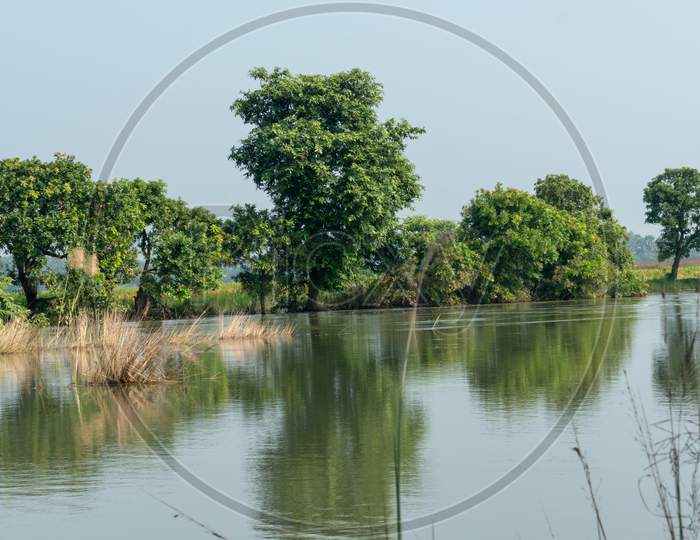 Beautiful views of nature on the banks of a river in West Bengal
