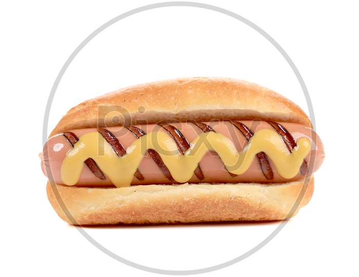 Hand Hold Hotdog With Mustard. Isolated On A White Background.