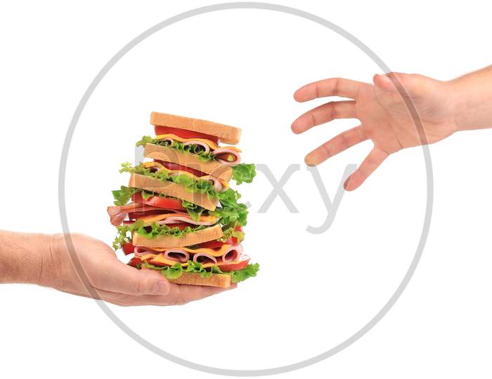 Sandwich With Tomato And Cheese In Hands. Isolated On A White Background.