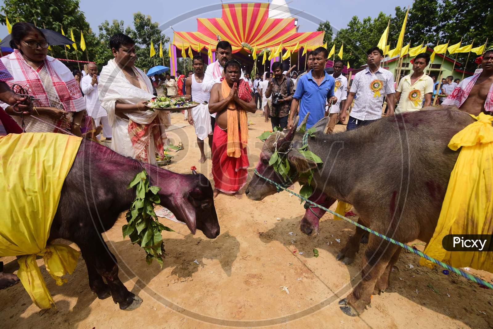 People burning a Meji which is made of bamboo and straw during Bhogali Bihu celebrations in Nagaon district
