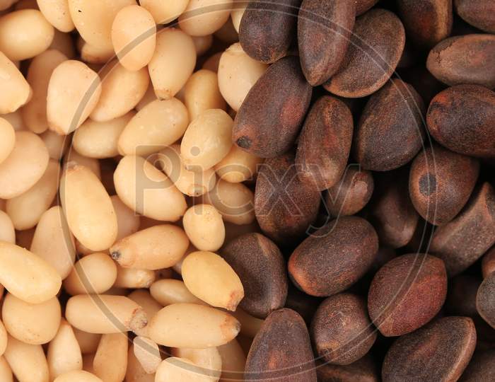 Bunch Of Pine Nuts. Close Up. Whole Background.