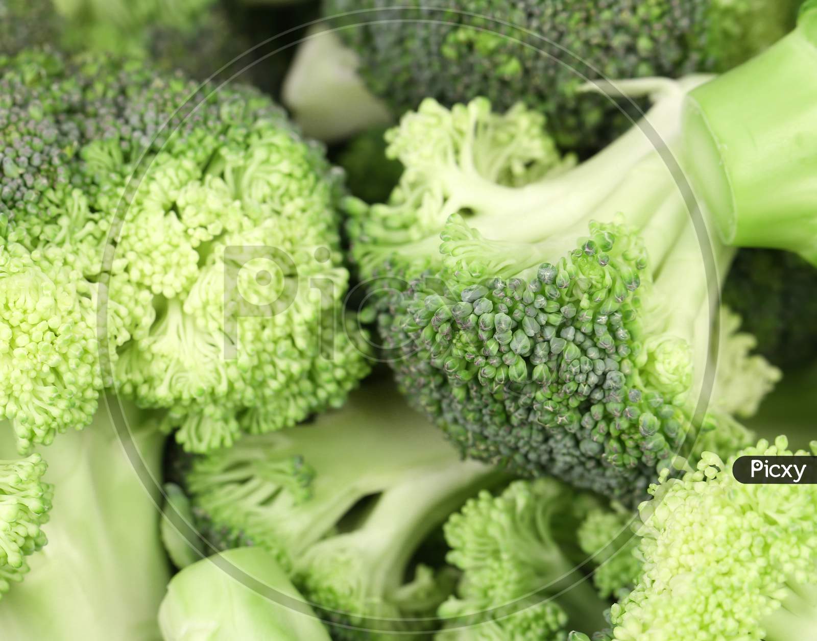 Close Up Of Fresh Broccoli. Whole Background.