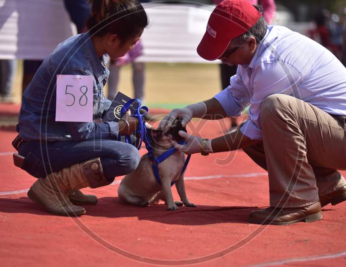 Dog Lovers With their Pet Dogs At Dog Show In Guwahati