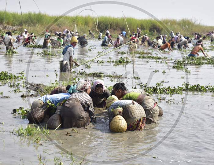 Villagers participate in a community fishing event as part of celebrations for the Bhogali Bihu, or the harvest festival of Assam, in Nagaon district, in the northeastern state of Assam