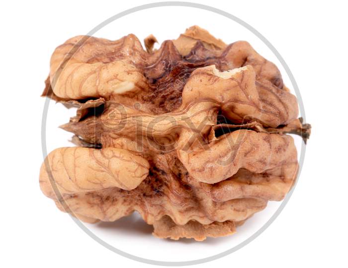 Close Up Of Kernel Walnut. Isolated On A White Background.
