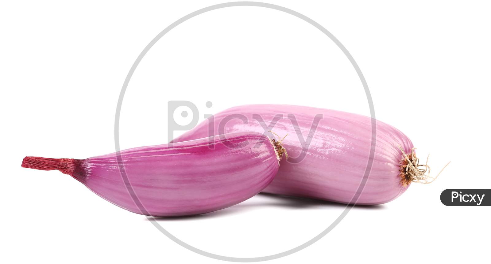 Red Onion Bulbs. Isolated On A White Background.