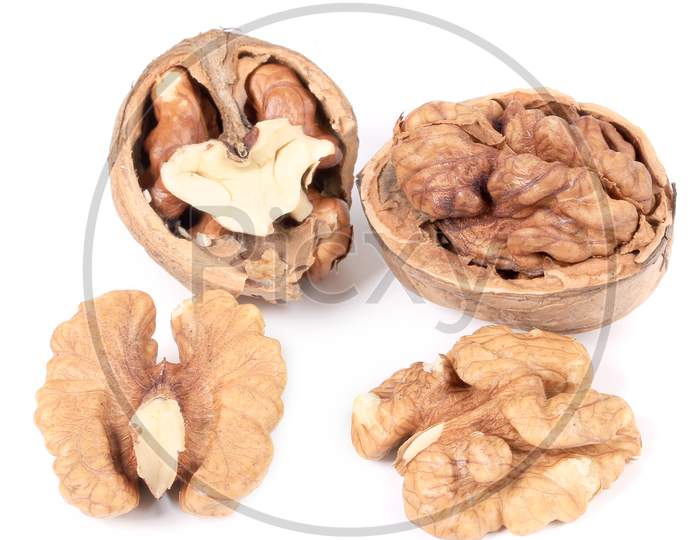 Close Up Of Walnuts And Kernels. Isolated On A White Background.