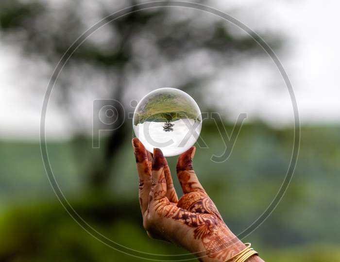 A lady holding lens ball with green tree background