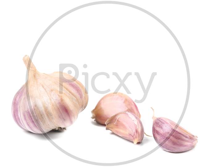 Fresh Garlic Whole And Cloves. Isolated On A White Background.
